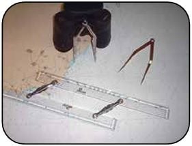 TR Yat Haritası (2901-2902)