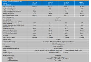 Victron Enerji Orion-Tr Smart DC-DC İzolasyonsuz Şarj Cihazı 12/24-15A