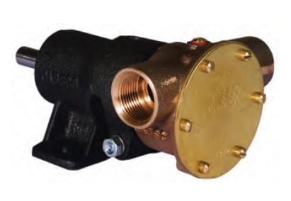 Itt Jabsco Ayaklı Pompa 1''