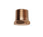 Westerbeke Motor Tutya 551056 Zn.