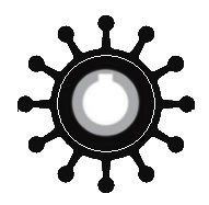 Impeller Lastiği 4568 C