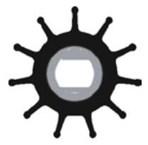 Impeller Lastiği 17370