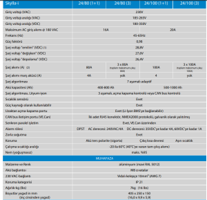 Victron Enerji Skylla-i 24 Volt Şarj Cihazı 24/100 (1+1)