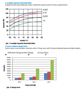 Victron Enerji AGM Deep Cycle Marin Akü 12V/60Ah
