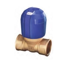 Guidi Non-Stick Valve  1''