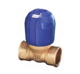 Guidi Non-Stick Valve 1.1/4''
